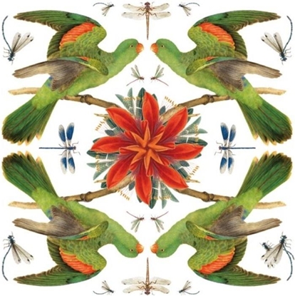 Изображение Museums & Galleries Karnet kwadrat z kopert Red-winged Parrot