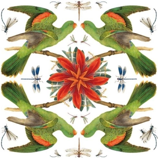 Picture of Museums & Galleries Karnet kwadrat z kopert Red-winged Parrot