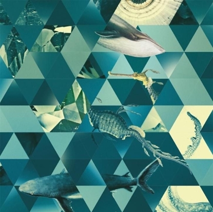 Изображение Museums & Galleries Karnet kwadrat z kopert Sealife