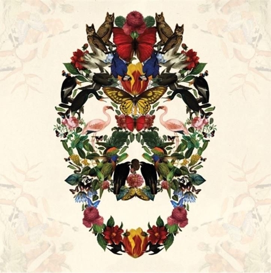 Изображение Museums & Galleries Karnet kwadrat z kopert Skull of Life