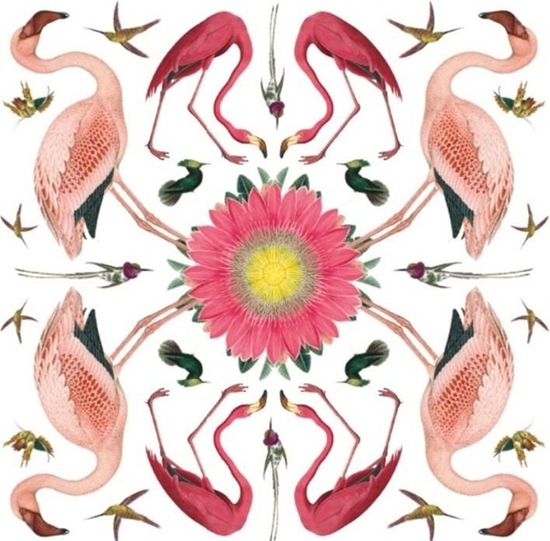 Изображение Museums & Galleries Karnet kwadrat z kopert White-throated Toucan