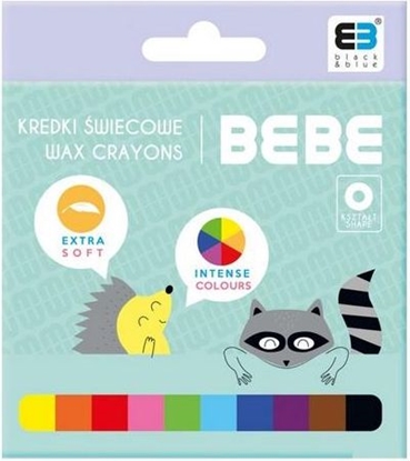 Picture of Noster Kredki wiecowe 10 kolorów B&B Kids Pastel NOSTER