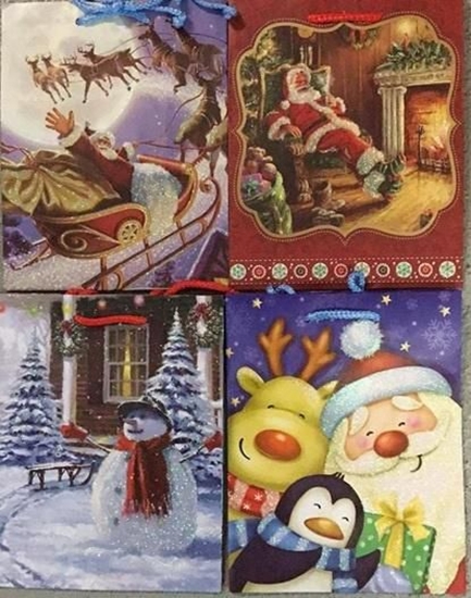 Изображение Panorama Torebka ozdobna brokat Boe Narodzenie PL-2Br mix