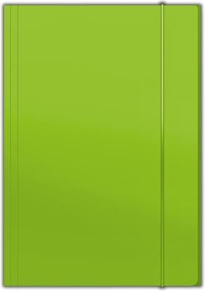 Picture of Penmate Teczka z gumkÄ A4 jasnozielona