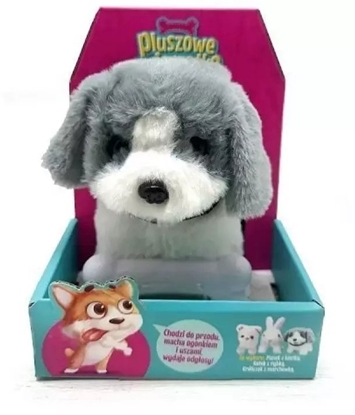 Изображение Piesek chodzcy z koci