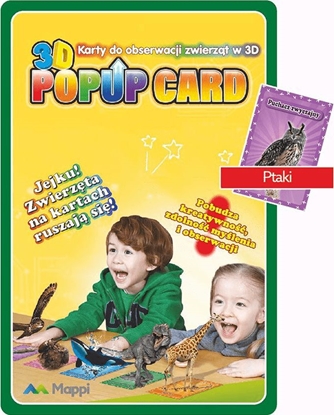 Picture of Pitka Ptaki - Karty do obserwacji zwierzt w 3D
