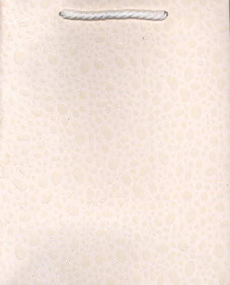 Picture of Polsirhurt Torba prezentowa mix kolorów TRB 35-1