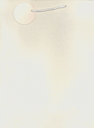 Picture of Polsirhurt Torba prezentowa mix kolorów TRB 35-3