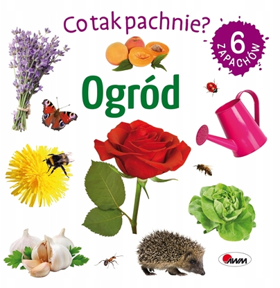 Picture of Przyklejaj Odklejaj Baw si! Pupile