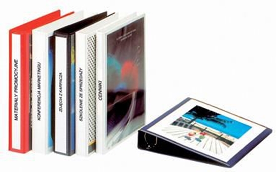 Изображение Segregator Esselte A4  (10K174G)