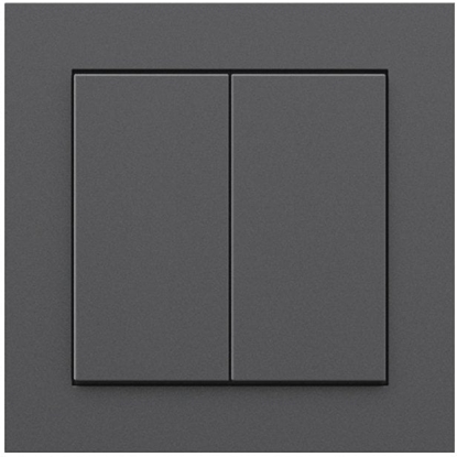 Attēls no Senic Senic Friends of Hue Smart Switch, switch (anthracite)
