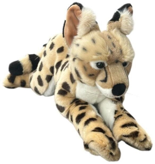 Изображение Serwal lecy 45cm