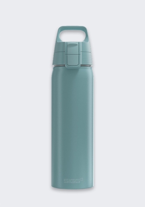 Picture of SIGG Butelka WMB One Morning Blue 0.75L 6168.70