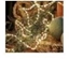 Picture of Sirius Home 30904, Light decoration chain, Gold, Transparent, IP20, 300 bulb(s), LED, Warm white