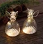 Изображение Sirius Home Wave, Light decoration figure, Transparent, 3 bulb(s), LED, Battery, CR2032