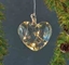 Picture of Sirius Home Wave, Light decoration figure, Transparent, Heart, 5 bulb(s), LED, CR2032