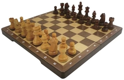 Изображение Skak Large