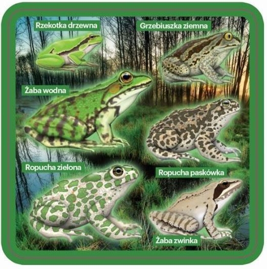 Изображение Soliton Podkadki pod kubek z pazami - 2 szt.