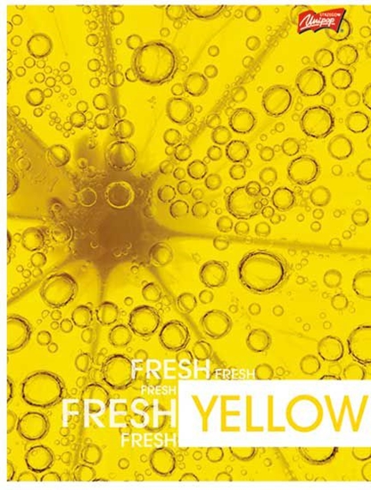 Picture of St. Majewski Zeszyt w okadce laminowanej, format A4, 80 kartek, kratka