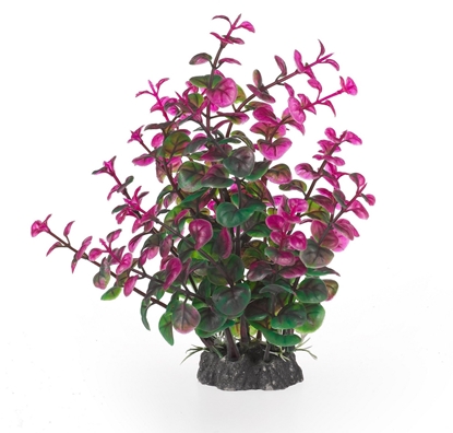 Picture of Terra Natura Aqua Natura, rolina do dekoracji akwarium, zielono-fioletowa, plastikowa, 20 cm, peperomia