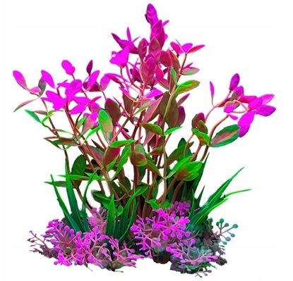 Picture of Terra Natura Aqua Natura, rolina do dekoracji akwarium, zielono-róowa, plastikowa, 12 cm, drobne licie