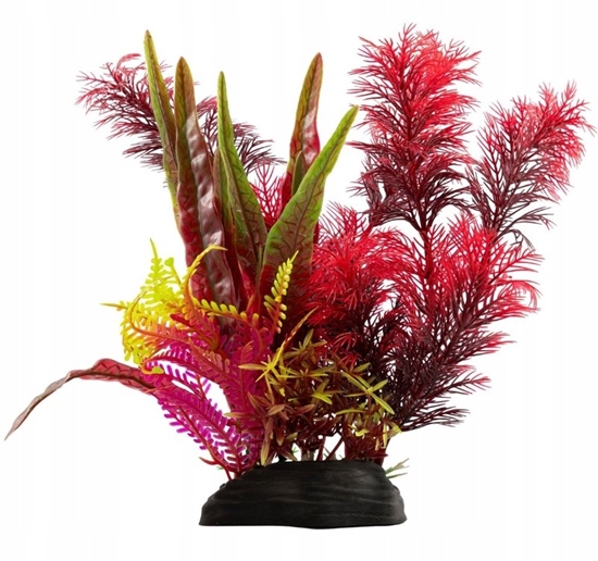 Picture of Terra Natura Aqua Natura, rolina, do dekoracji akwarium, czerwono-róowo-zielone, plastikowa, 20 cm, róne roliny