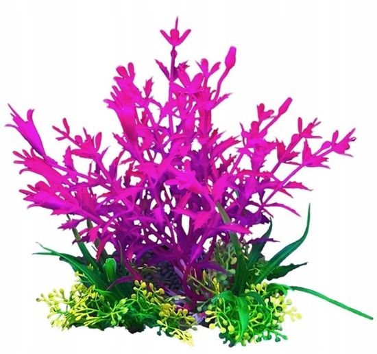 Picture of Terra Natura Aqua Natura, rolina, do dekoracji akwarium, fioletowa, plastikowa, 12 cm, flowers in the shape of long bells