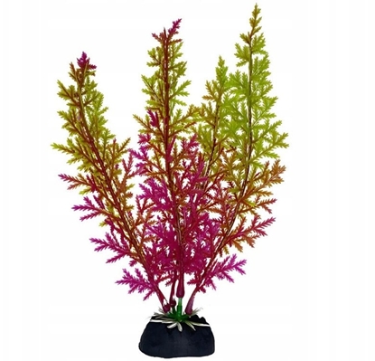 Picture of Terra Natura Aqua Natura, rolina, do dekoracji akwarium, fioletowo-seledynowa, plastikowa, 18 cm, wodorost koralowy