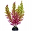 Attēls no Terra Natura Aqua Natura, rolina, do dekoracji akwarium, fioletowo-seledynowa, plastikowa, 18 cm, wodorost koralowy