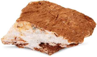 Picture of Terra Natura Skaa Krew Kury 10-40 cm