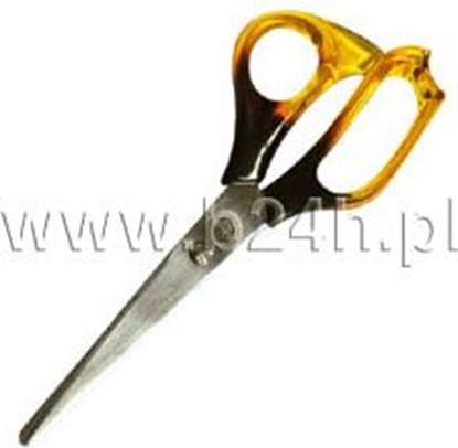 Изображение Titanum Noyczki biurowe Titanum bursztynowe (S04005)17,5