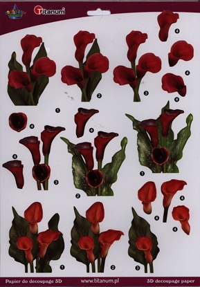 Изображение Titanum Papier 3D do decupage (22007)
