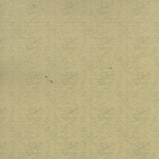 Изображение Titanum Papier dekoracyjny 10 szt. 120g. beowy 20x20cm (20643)