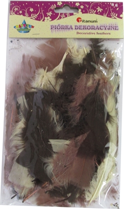 Изображение Titanum Piórka dekoracyjne 8 g. 338555.