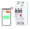 Изображение Viedais WiFi vienfāzes elektrības skaitītājs ar releju un Tuya monitoringu (60A, DIN)