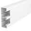 Attēls no Bettermann Kana podparapetowy 2-komorowy Rapid 45-2 GK-53165RW biay (6113 40 0)