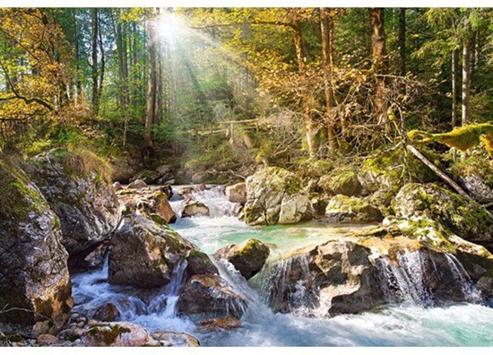 Picture of Castorland 2000 EL. Soneczny Potok Leny (200382)