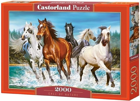 Picture of Castorland Puzzle 2000 Call of Nature