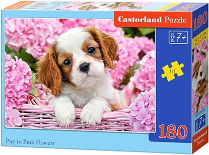 Picture of Castorland Puzzle Szczeniak w róo 180 elementów (018185)