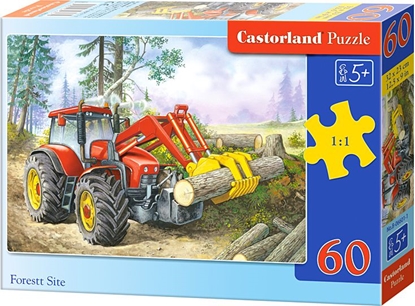 Picture of Castorland Puzzle Wycinka w Lesie 60 elementów (06601)