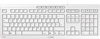Picture of Cherry STREAM tastatūra Birojs USB AZERTY Franču Balts