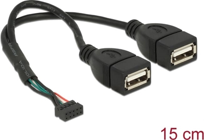 Picture of Delock Cable USB 2.0 pin header female 2.00 mm 10 pin > 2 x USB 2.0 Type-A female 20 cm