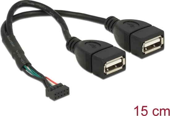 Изображение Delock Cable USB 2.0 pin header female 2.00 mm 10 pin > 2 x USB 2.0 Type-A female 20 cm