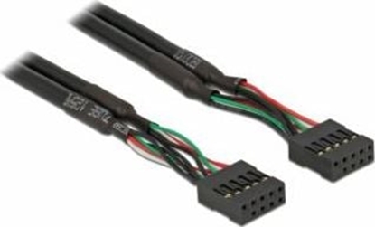 Picture of Delock Cable USB 2.0 pin header female 2.54 mm 10 pin > USB 2.0 pin header female 2.54 mm 10 pin 50 cm