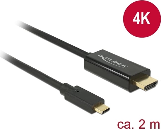 Изображение Delock Cable USB Type-C™ male > HDMI male (DP Alt Mode) 4K 30 Hz 2 m black