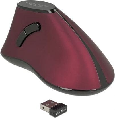 Изображение Delock Ergonomic vertical optical 5-button mouse 2.4 GHz wireless