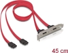 Picture of Delock Slotbracket 2x internal SATA to 2x eSATA external