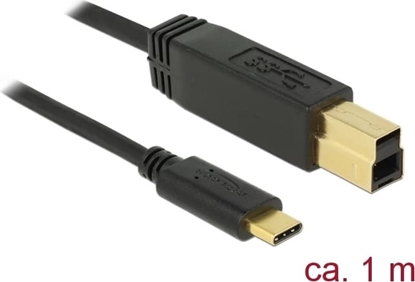 Изображение Delock USB 3.1 Gen 2 (10 Gbps) cable Type-C to Type-B 1 m