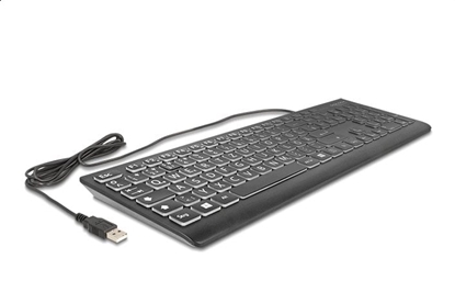 Attēls no Delock USB Keyboard wired 1.5 m black with XXL Letters and Illumination