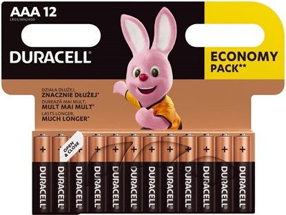Изображение Duracell AAA MN2400 Alkaline LR03 1.5V Batteries 12pcs